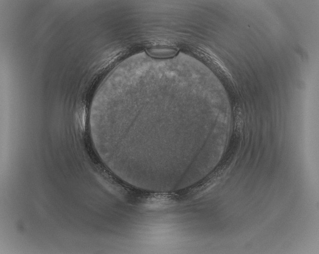 X0000115410076200912151550