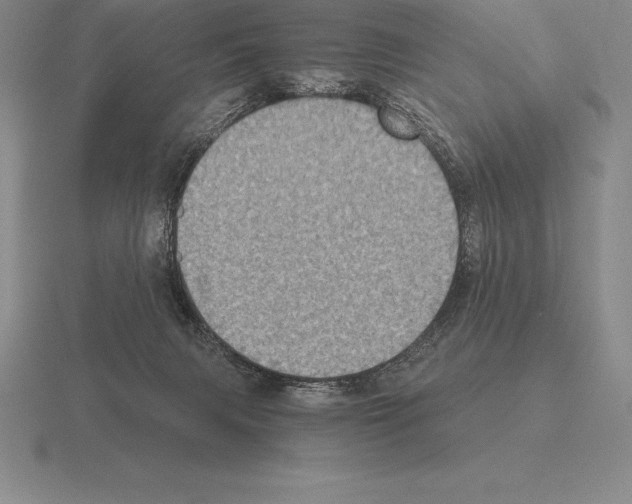 X0000115410079200912151550