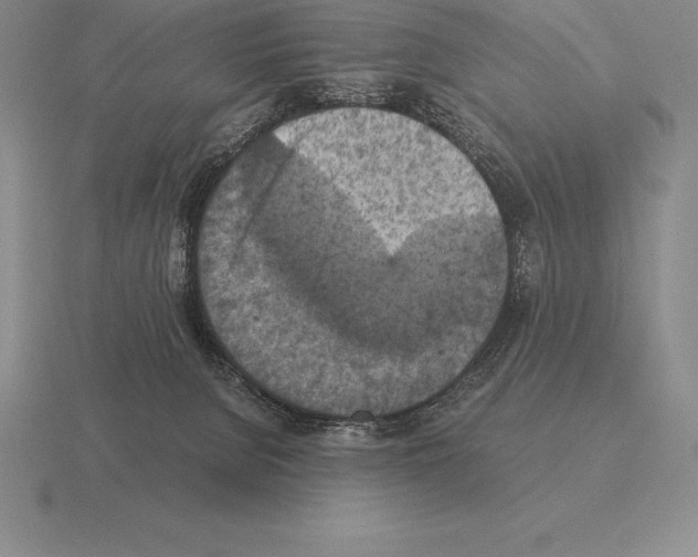 X0000115410080200912151550