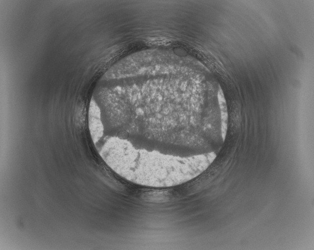 X0000115410081200912151550