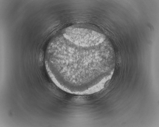 X0000115410082200912151550