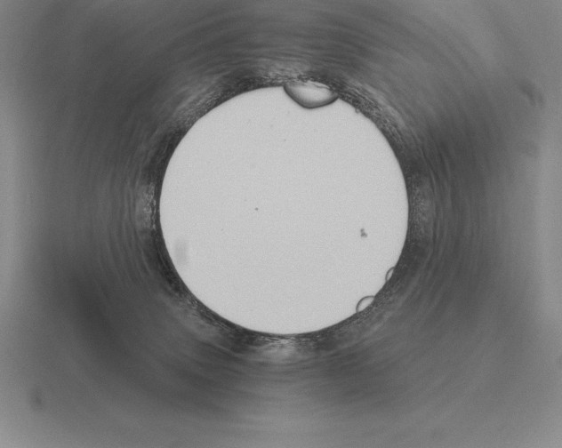 X0000115410083200912151551