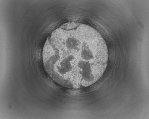 X0000115410085200912151551