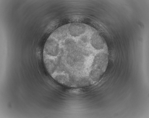 X0000115410086200912151551