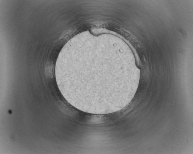 X0000115410090200912151551