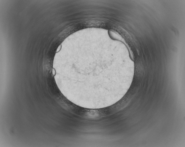 X0000115410091200912151551