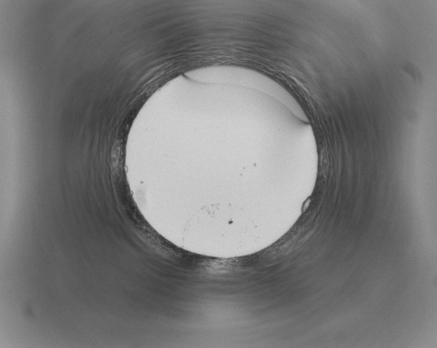 X0000115410092200912151551