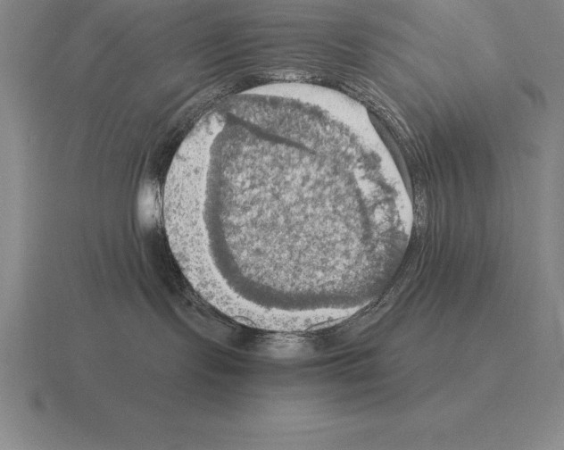 X0000115410095200912151551