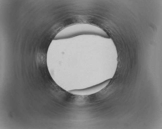 X0000115410096200912151551