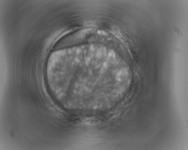 X0000115410097200912151550