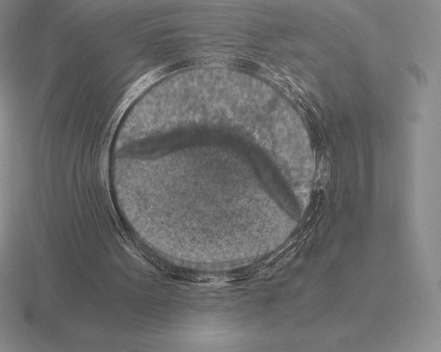 X0000115410099200912151550