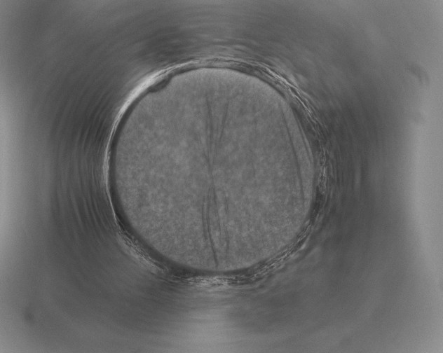 X0000115410100200912151550