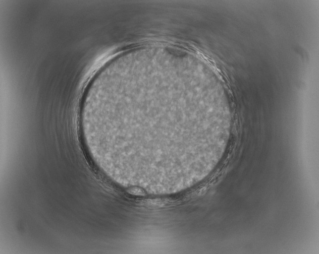 X0000115410103200912151550