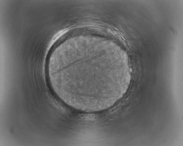 X0000115410104200912151550