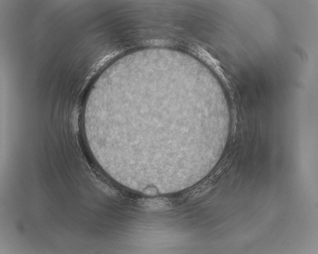 X0000115410106200912151550