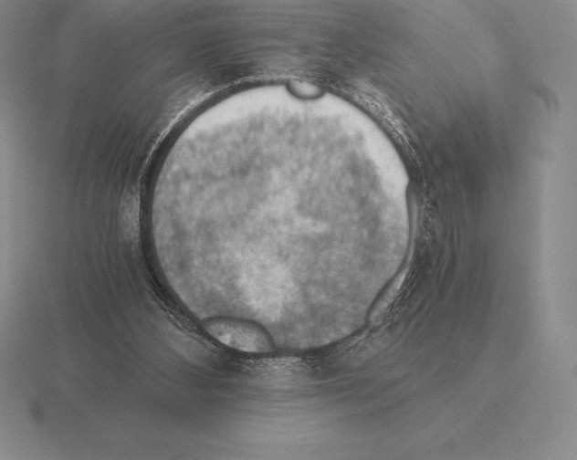 X0000115410108200912151550