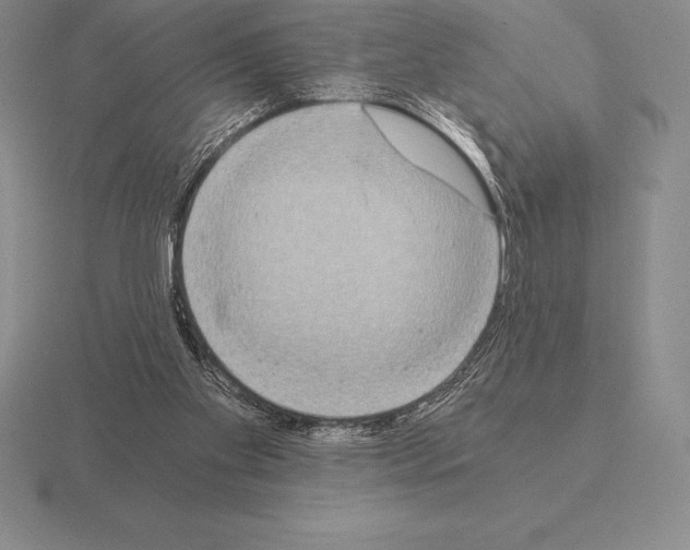 X0000115410109200912151550