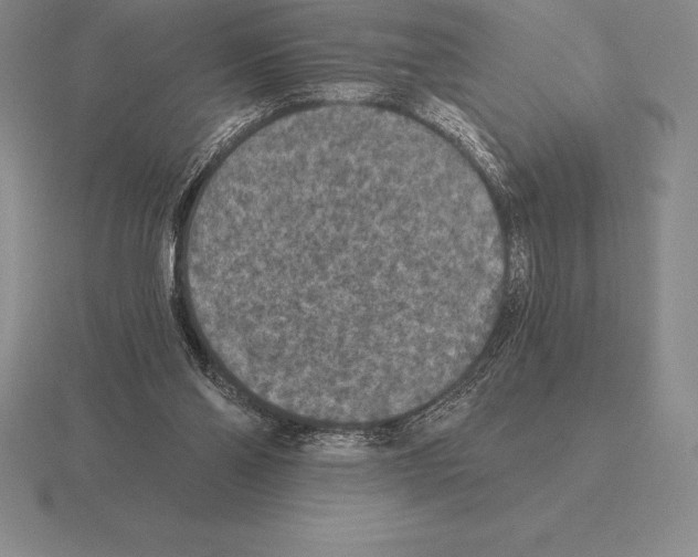 X0000115410110200912151550