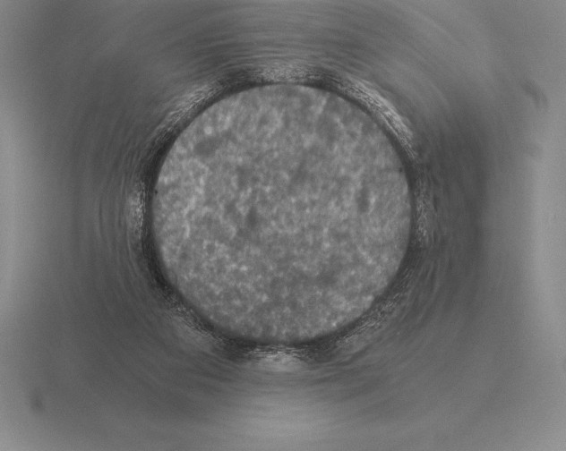 X0000115410113200912151550