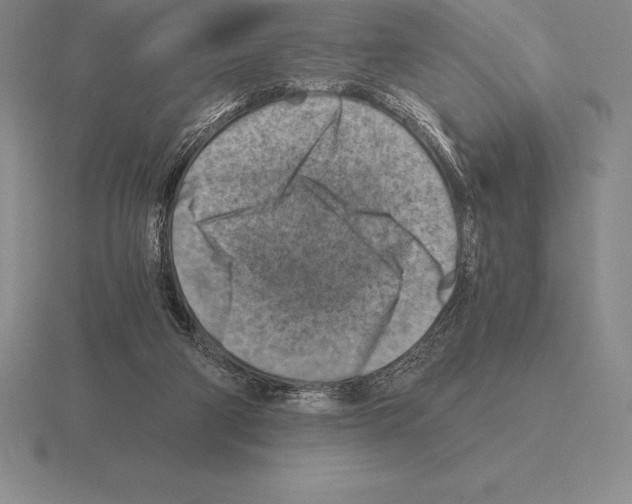 X0000115410114200912151550