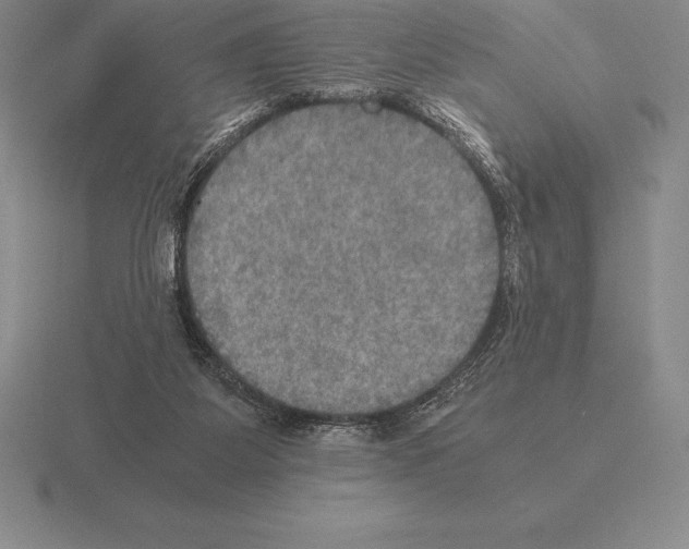 X0000115410115200912151550