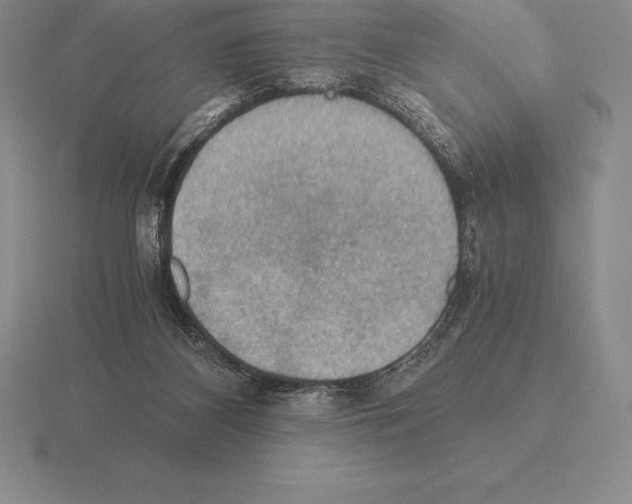 X0000115410116200912151550