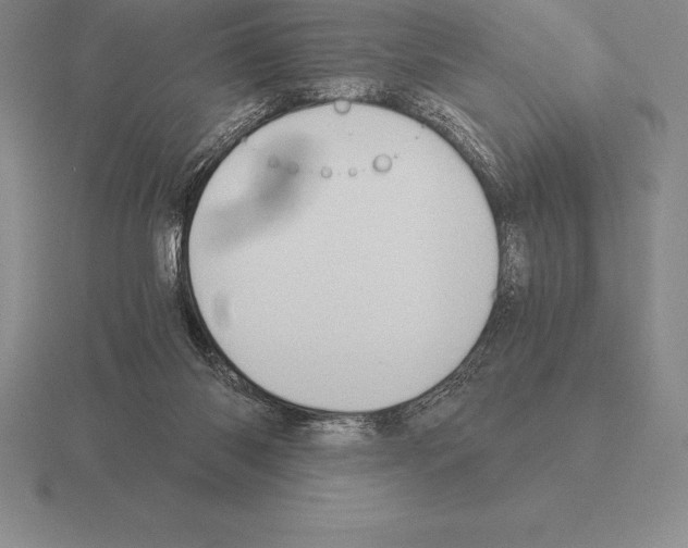 X0000115410118200912151550