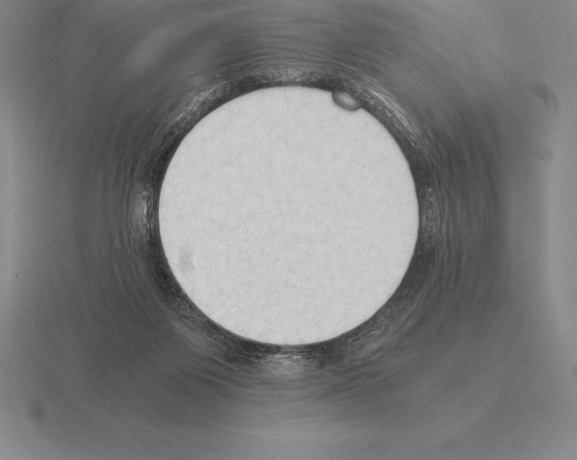 X0000115410119200912151550