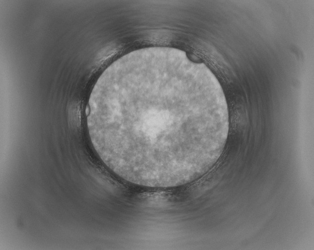 X0000115410120200912151550