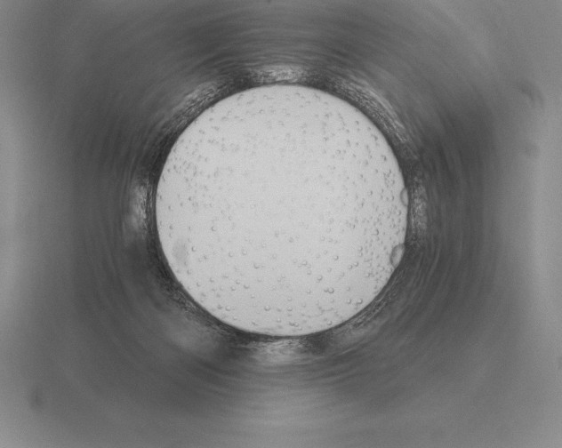 X0000115410122200912151550