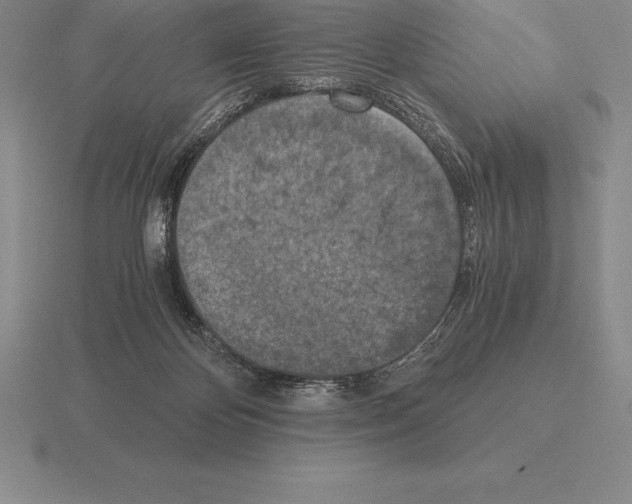 X0000115410124200912151550