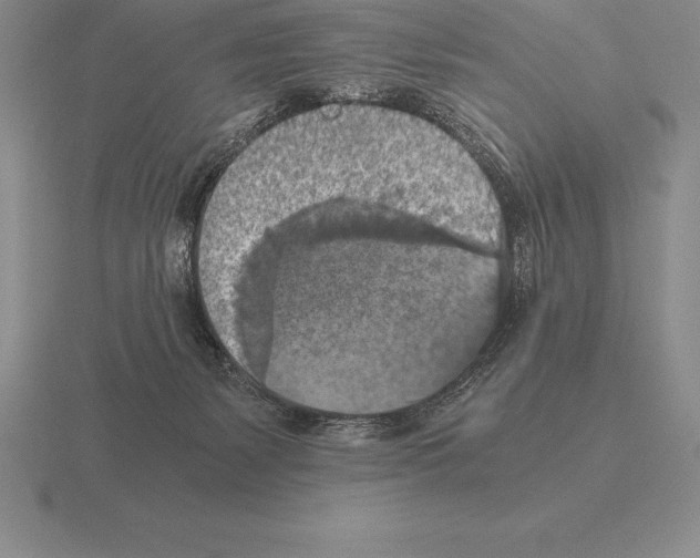 X0000115410127200912151550