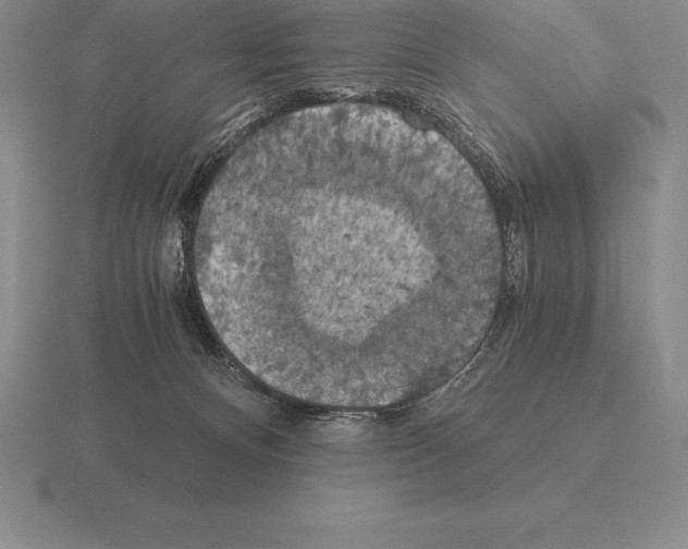 X0000115410128200912151550