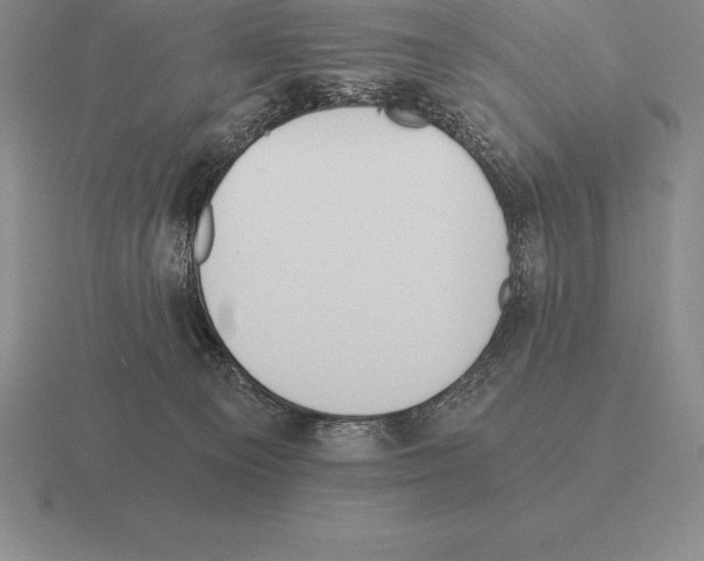 X0000115410129200912151550