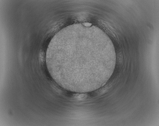 X0000115410135200912151550