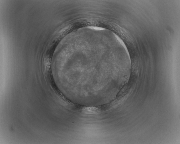 X0000115410137200912151550