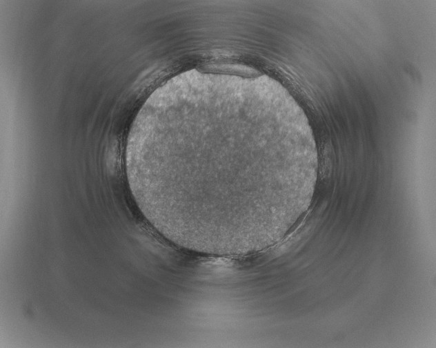 X0000115410140200912151550