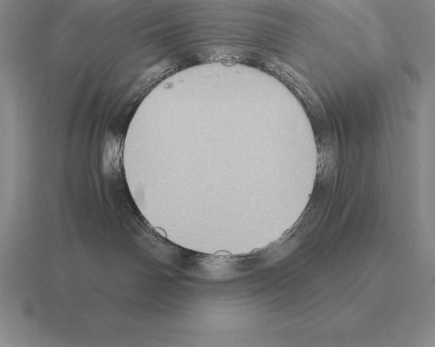 X0000115410142200912151549