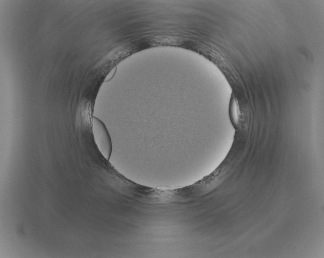 X0000115410143200912151549