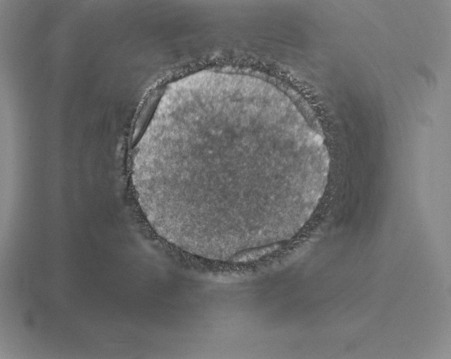 X0000115410144200912151549