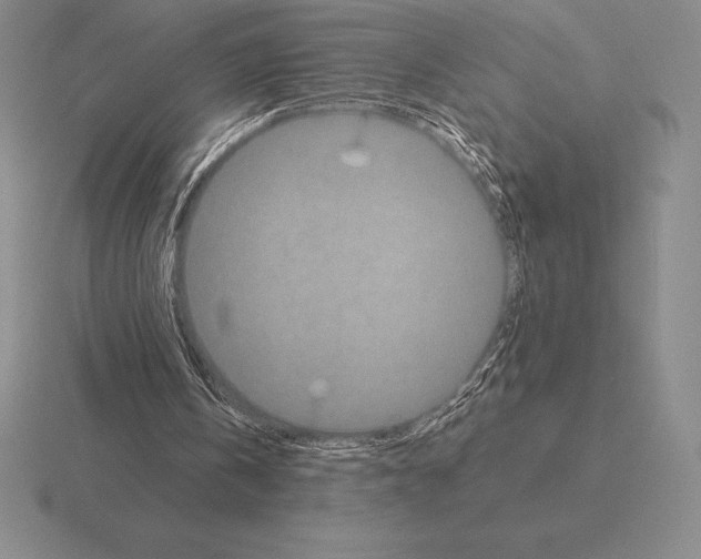 X0000115410146200912151549