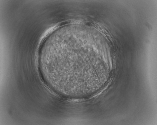 X0000115410149200912151549