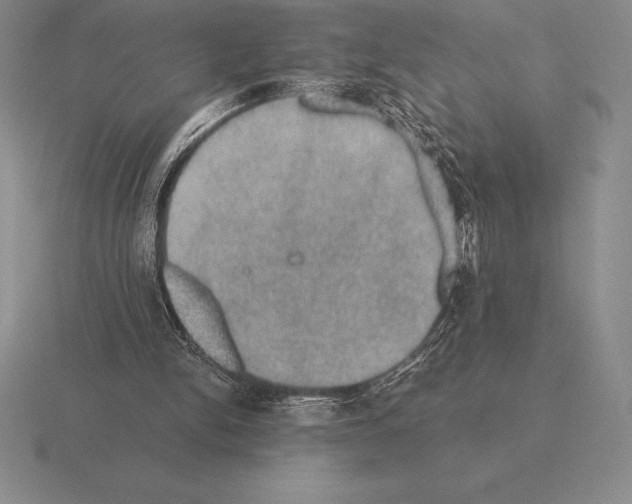 X0000115410150200912151549