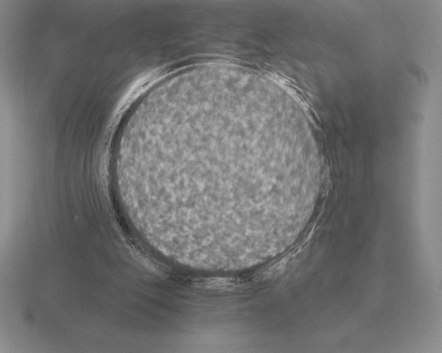 X0000115410151200912151549