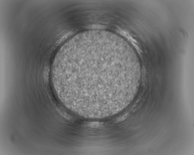 X0000115410153200912151549