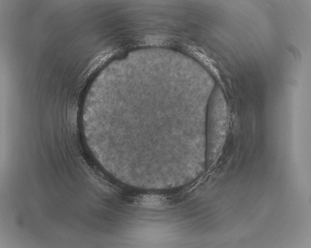 X0000115410154200912151549