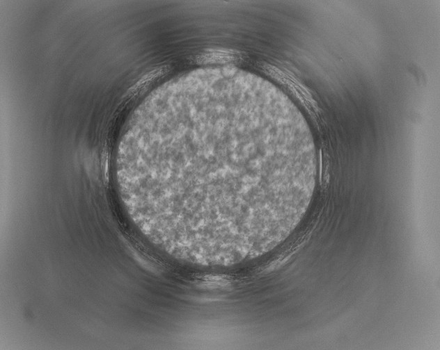 X0000115410157200912151549