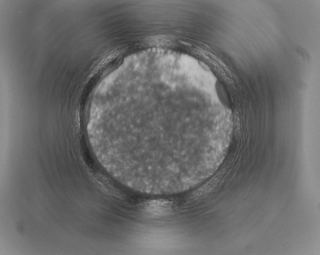 X0000115410158200912151549