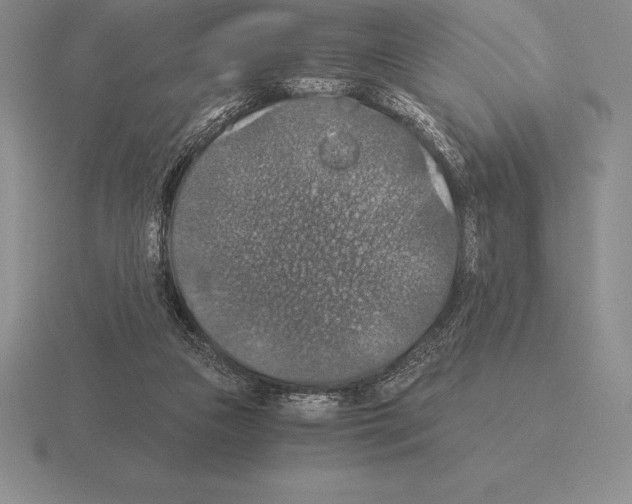 X0000115410161200912151549