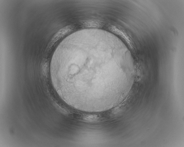 X0000115410162200912151549